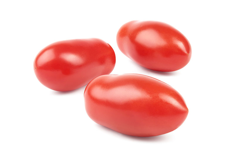 Pomodoro-da-salsa