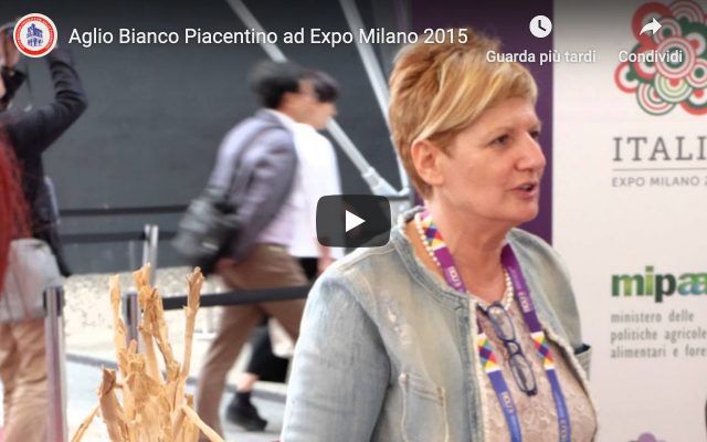 Expo Milano 2015