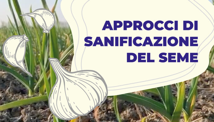 Approcci di sanificazione del seme